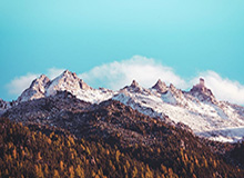 kaiyun-CBA-多人得分上双 浙江稠州金租战胜辽宁本钢