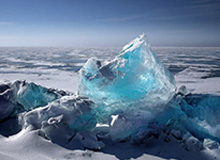 kaiyun-特谢拉：沙特球迷留言很酷 先拿中超冠军再定去留